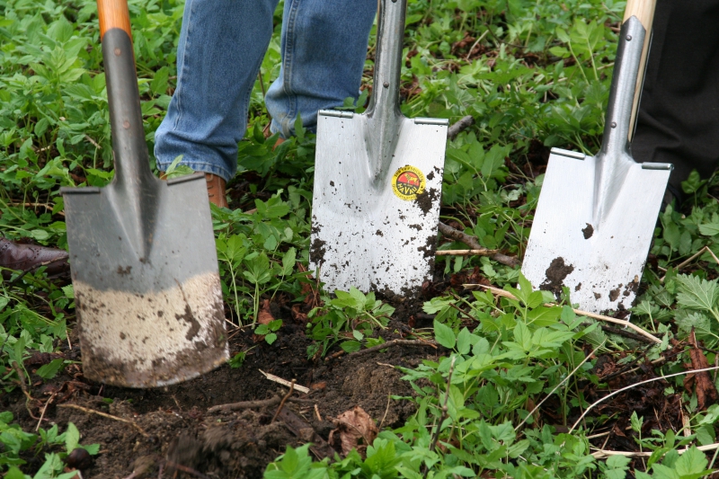 pepiniere-LA TOUR-min_work-lawn-flower-tool-green-backyard-1103633-pxhere.com